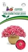 Петуния Изи Вэйв Рози Доун 5шт (Партнер) 