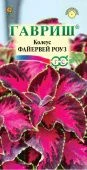 Колеус Файервей Роуз 4шт (Гавриш)