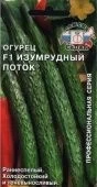 Огурец Изумрудный Поток (СеДек)