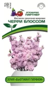 Маттиола срезочная махровая "Бьютифул Парфюм" ЧЕРРИ БЛОССОМ 10шт (Партнер)