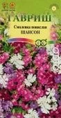 Смолевка Шансон повислая (Гавриш)