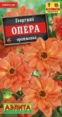 Георгина Опера оранжевая 7шт (Аэлита)