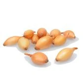 Лук севок Шекспир озимый 8/21 10кг (Голландия-Россия) +/-10%