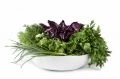 Пряные культуры и травы Пряные культуры и травы