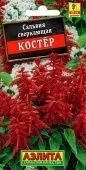 Сальвия Костер (Аэлита)