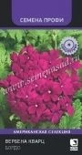 Вербена Кварц Бордо Семена Профи10шт (ПОИСК)