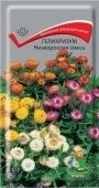 Гелихризум Низкорослая смесь 0,1гр (ПОИСК)