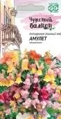 Львиный зев Амулет ампельный (Гавриш)