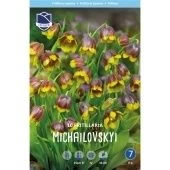 Фритиллярия Михайловского 10шт (А)