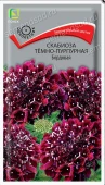 Скабиоза темно-пурпурная Бордовая 0,2г (ПОИСК) 