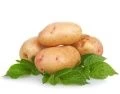 Картофель Картофель
