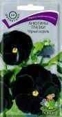 Анютины глазки Черный Король 0,2г (ПОИСК)