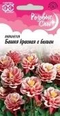Аквилегия Башня красная с белым серия Розовые сны (Гавриш)