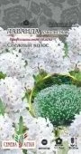 Лаванда Снежный колос узколистная 5шт (Сем Алт)