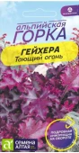 Гейхера Тающий огонь 5шт (Сем Алт)