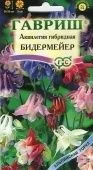 Аквилегия Бидермейер (Гавриш)