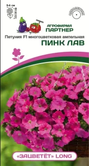 Снимок