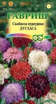 00040932_Скабиоза пурпурная Дугласа махровая  смес