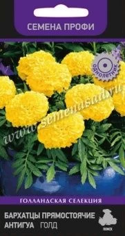 00027755_Бархатцы Антигуа голд прямостоячие серия 