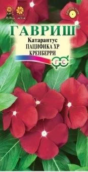 Катарантус Пацифика Кренберри (Гавриш)
