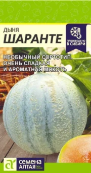 Снимок экрана 2026-07-30 134831