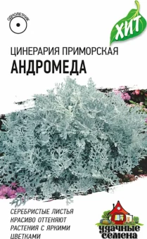 00026381_Цинерария приморская Андромеда (Гавриш) МЕТАЛЛ