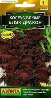 00040815_Колеус блюме Блэк дракон (Аэлита)