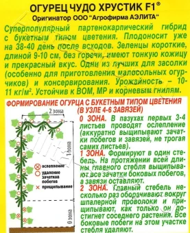 Огурец Чудо Хрустик (Аэлита)