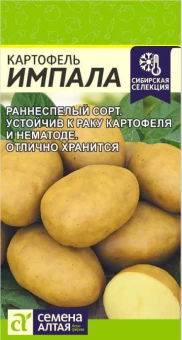 Снимок