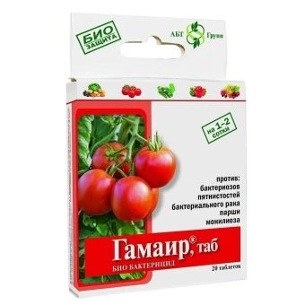 00024412_Гамаир 20 таблеток (АБТ)