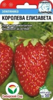 Земляника Королева Елизавета (Сиб. сад)