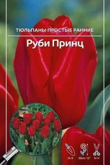 00019637_Тюльпан Руби Принц 11_12 (5шт) (А)