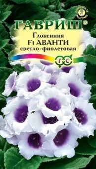 Глоксиния Аванти светло-фиолетовая (Гавриш) 1/1000