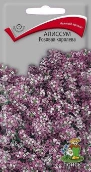 00030738_Алиссум Розовая королева 0,3г (ПОИСК)