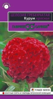 00034016_Целозия Курум красная гребенчатая 10шт (Г