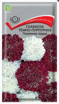 Снимок экрана 2026-10-02 111631