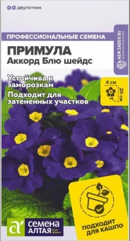 Снимок