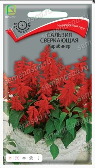 Снимок экрана 2026-10-02 111015