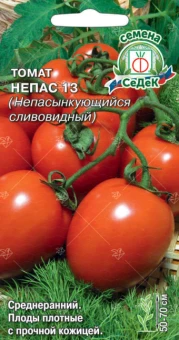 ЦБ-00020328_Томат Непас 13 Непасынкующийся Сливовидный (СеДек)