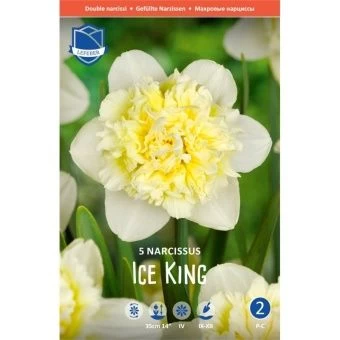 nartsiss-ajs-king-w800-h800