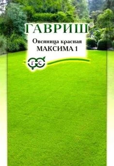 00025981_Овсяница Максима красная 20г (Гавриш)