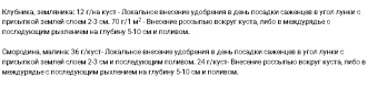 Пробиогранулы Ягодное Гуми-Оми 0,8кг 112 (БИ)