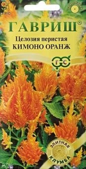 00020302_Целозия Кимоно Оранж перистая (Гавриш)