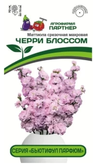 Снимок
