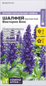 Снимок