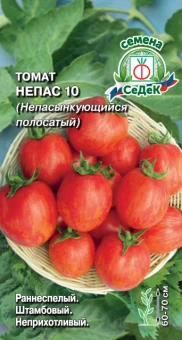 ЦБ-00020325_Томат Непас 10 Непасынкующийся Полосатый (СеДек)