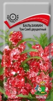 00041041_Бальзамин Том Самб двуцветный  0,1гр.(ПОИ