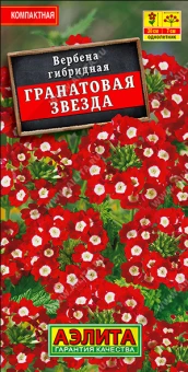 Вербена Гранатовая звезда (Аэлита)