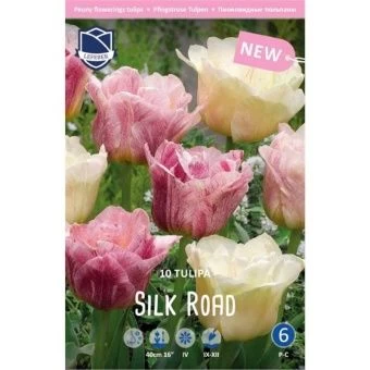 tyulpan-silk-roud2-w800-h800