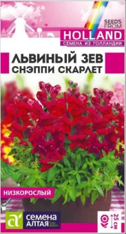 Снимок